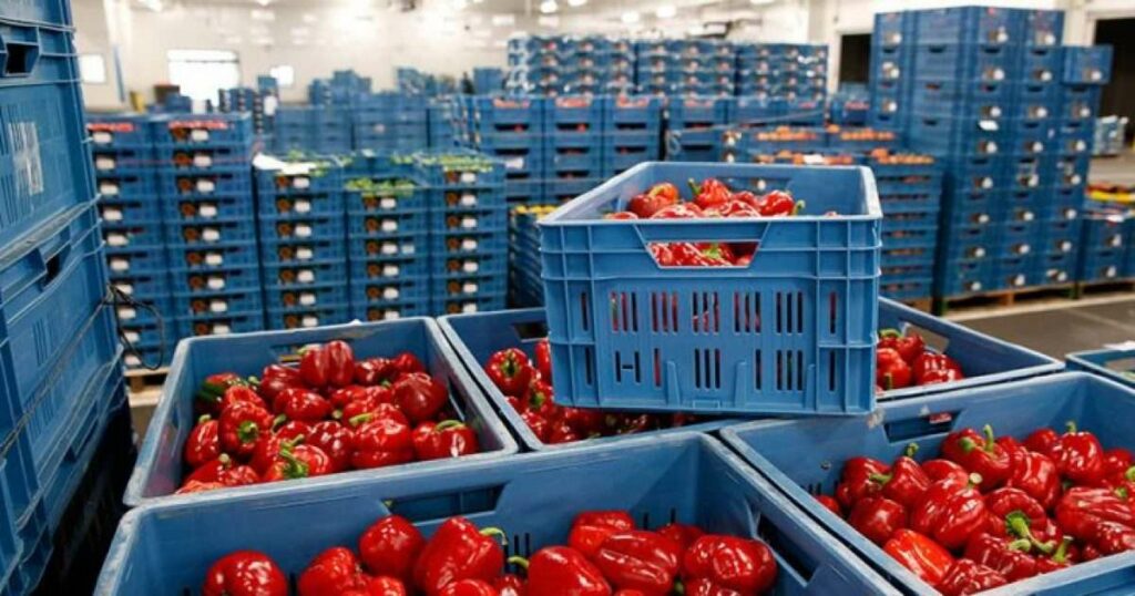 Albania third in Europe for the increase in food prices during the COVID-19 pandemic – Telegrafi