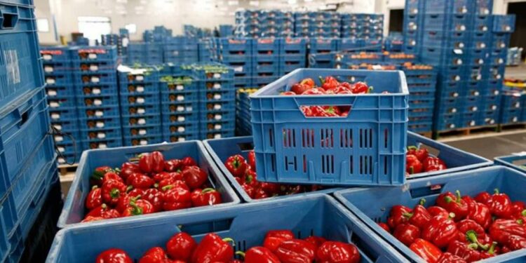 Albania third in Europe for the increase in food prices during the COVID-19 pandemic – Telegrafi