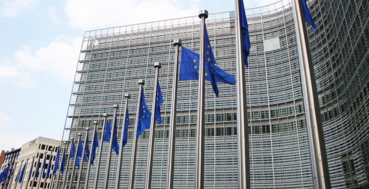 Alliance calls for support from next European Commission