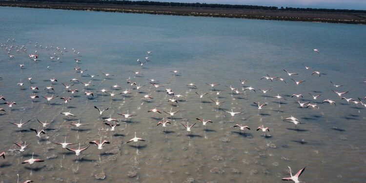 An environmental disaster looms in Albania