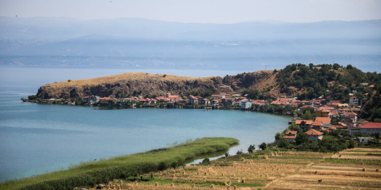 Ancient Lin settlement reveals how farming spread to Europe