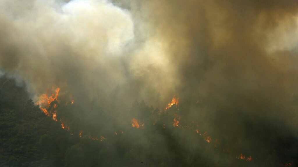 Around a thousand attend funeral for firefighters killed in recent Portuguese wildfires