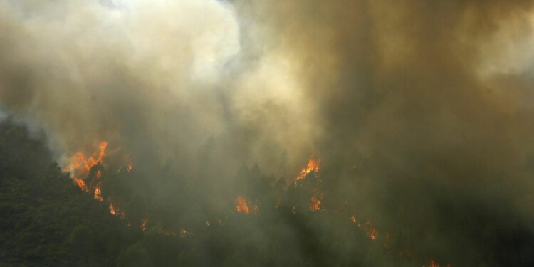 Around a thousand attend funeral for firefighters killed in recent Portuguese wildfires