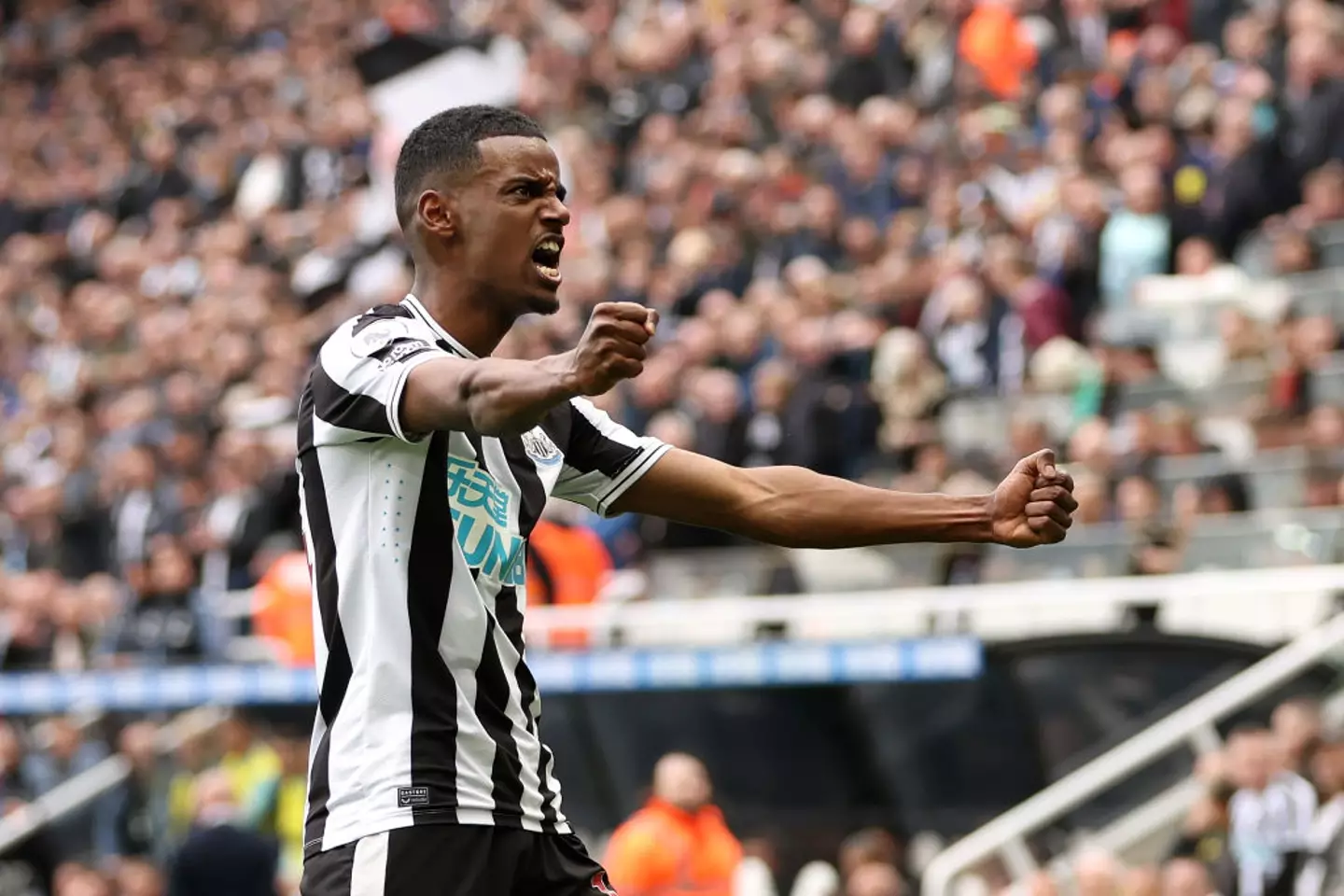 Alexander Isak has impressed at Newcastle United (Credit:Getty)