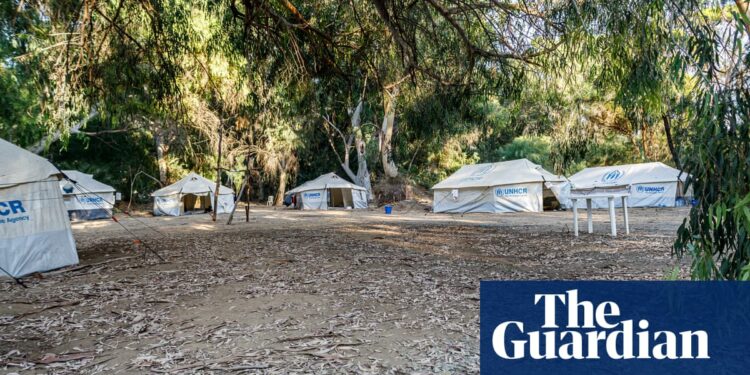 Asylum seekers stuck in limbo as Cyprus rebuffs calls to act | Refugees