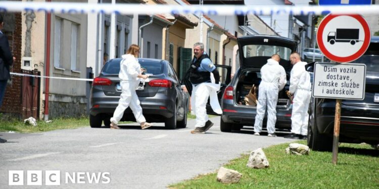 At least six killed in Croatia nursing home shooting