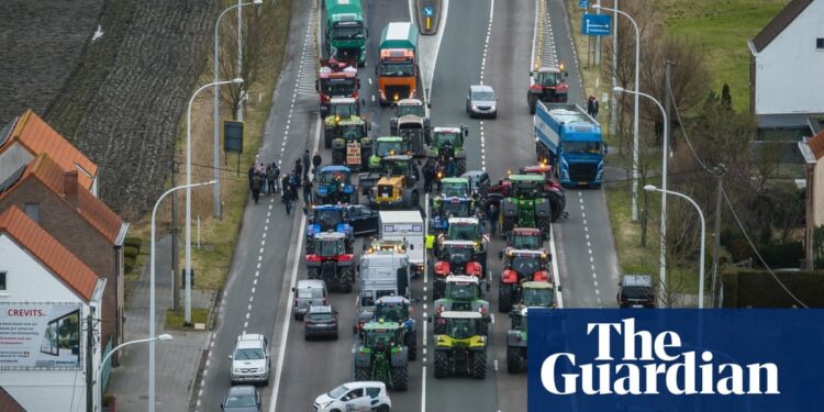 Belgian port blockaded as farmer protests spread across Europe | Belgium