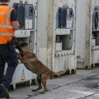 Belgium's giant port of Antwerp has become a major entry for cocaine being smuggled into Europe - Islander News.com