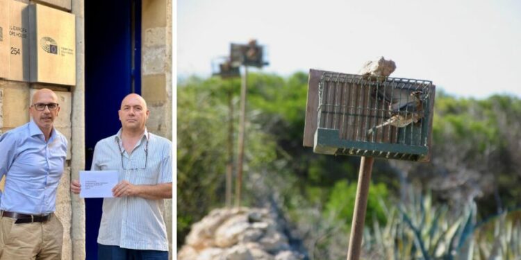 BirdLife Malta Appeals To EU For Urgent Action On Illegal Finch Trapping In Open Letter