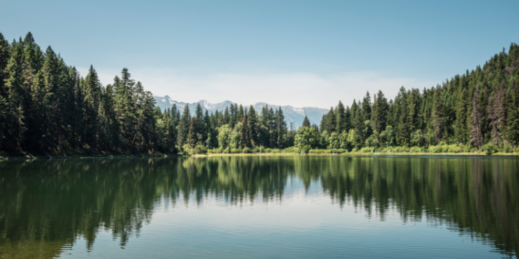 Business is yet to unlock the true value of protecting and restoring nature – Euractiv