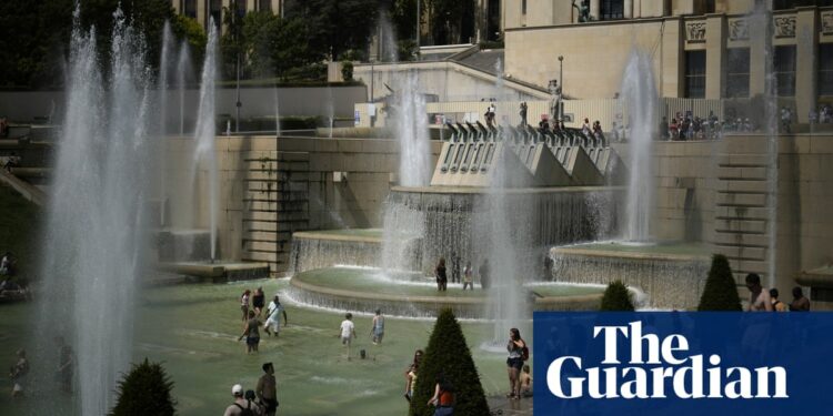 Climate crisis caused half of European heat deaths in 2022, says study | Climate crisis