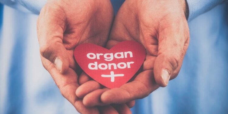 Closing the gap: standardising organ donation and transplantation success in Europe