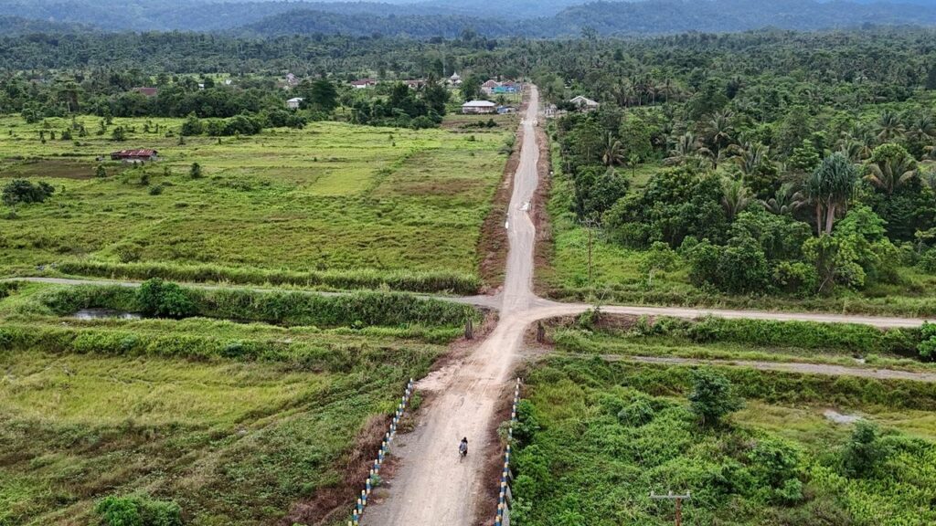 Countries, businesses and trade officials urge EU to rethink deforestation regulation