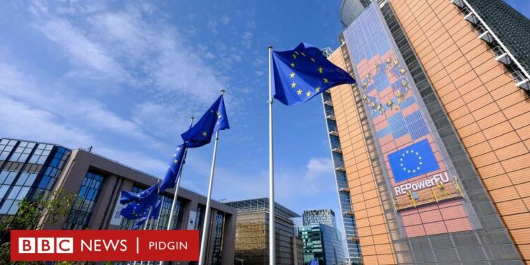 Deportation of migrants: European Union tok why dis go increase for EU member states