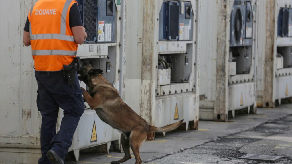 Dozens jailed in Belgium drug smuggling mega-trial