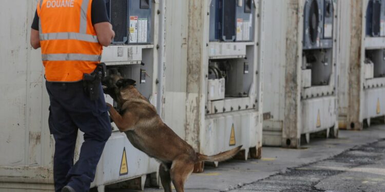 belgium s giant port of antwerp has become a major entry for cocaine being smuggled into europe file photo afp