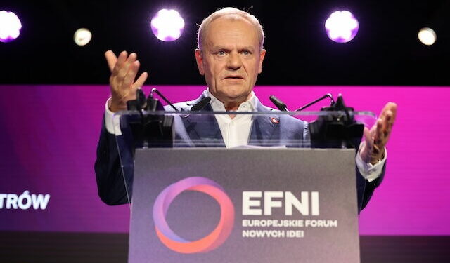 EFNI 2024 on the economy, Poland’s presidency, health, and culture