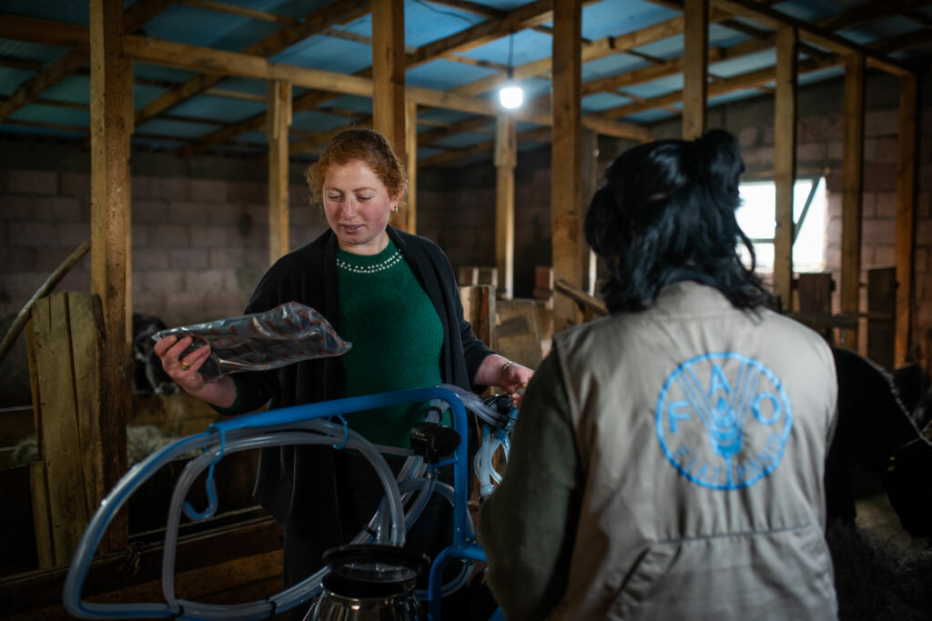 EU, Sweden, and FAO Empower Smallholder Women Dairy Farmers in Georgia with an Ongoing Matching Grant Scheme