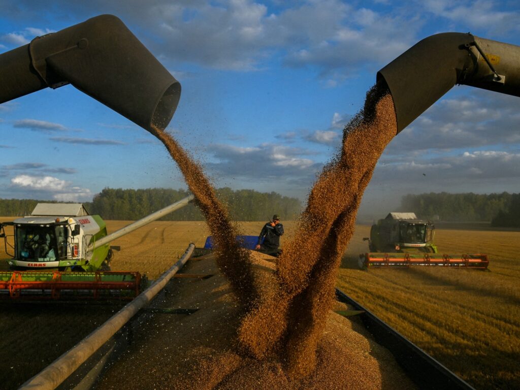 EU agrees tariffs on Russian, Belarusian grain imports from July | Business and Economy News