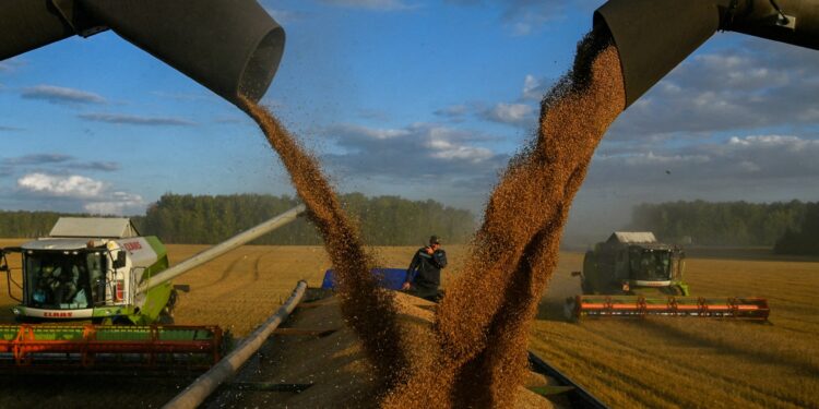 EU agrees tariffs on Russian, Belarusian grain imports from July | Business and Economy News