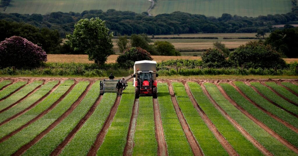 EU farm ministers reject push to reform CAP spending – POLITICO