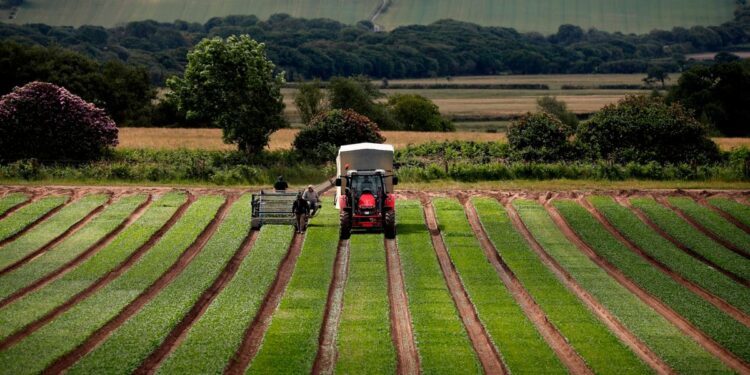 EU farm ministers reject push to reform CAP spending – POLITICO