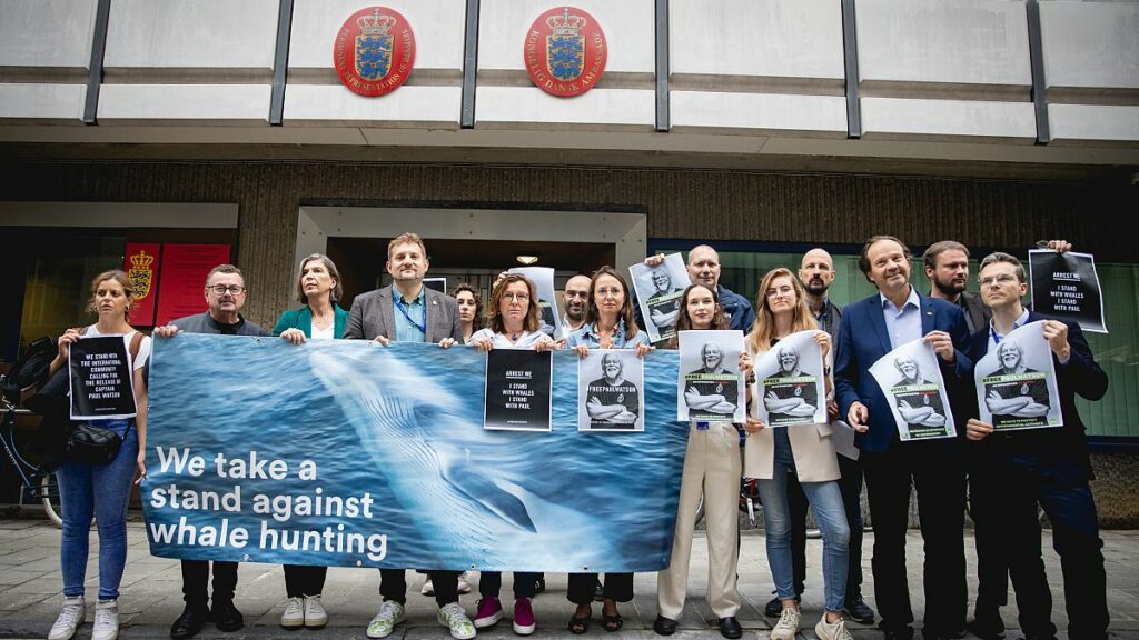 EU lawmakers call for release of marine activist Paul Watson in Denmark