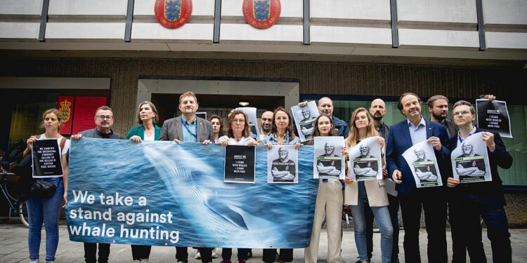 EU lawmakers call for release of marine activist Paul Watson in Denmark