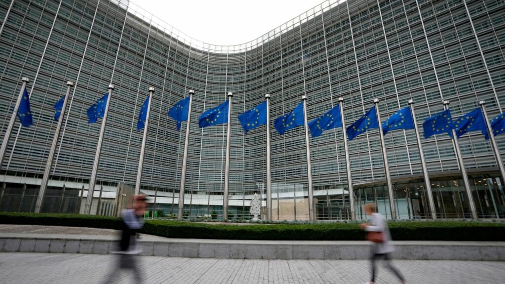 EU offers to delay new deforestation rules after an outcry from governments and farmers
