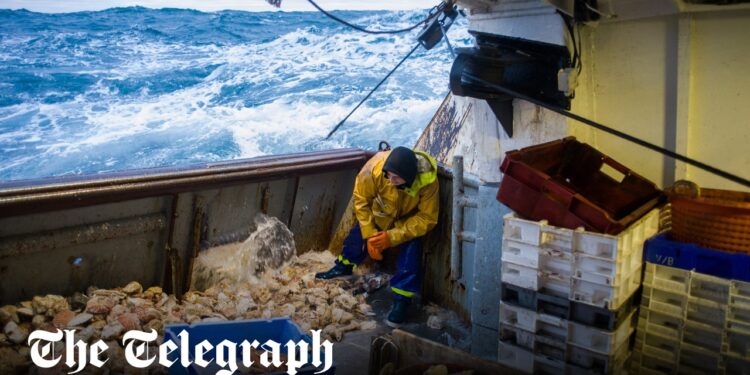 EU to demand continued fishing rights in British waters