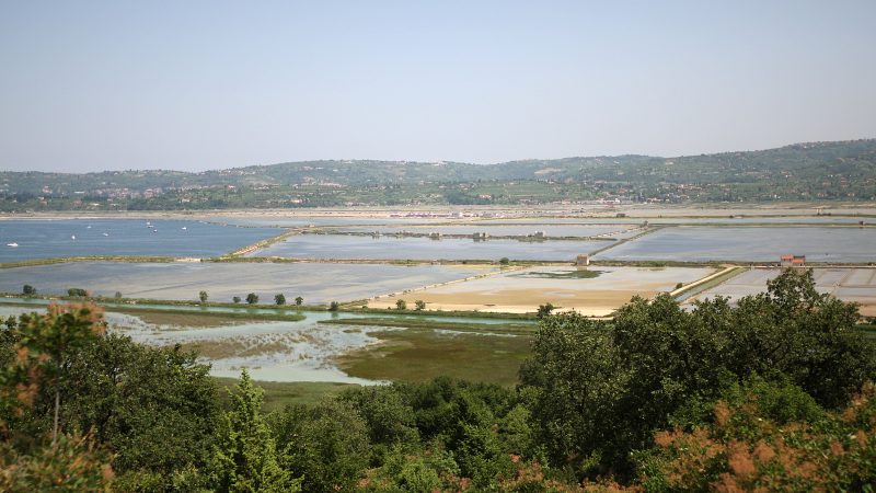 EU urges Croatia to ‘implement’ Piran Bay ruling - EURACTIV