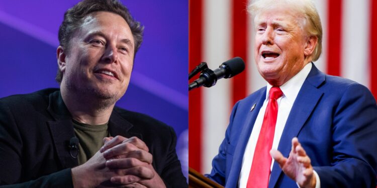 Elon Musk Gets EU Warning Before Rambling Donald Trump X Interview