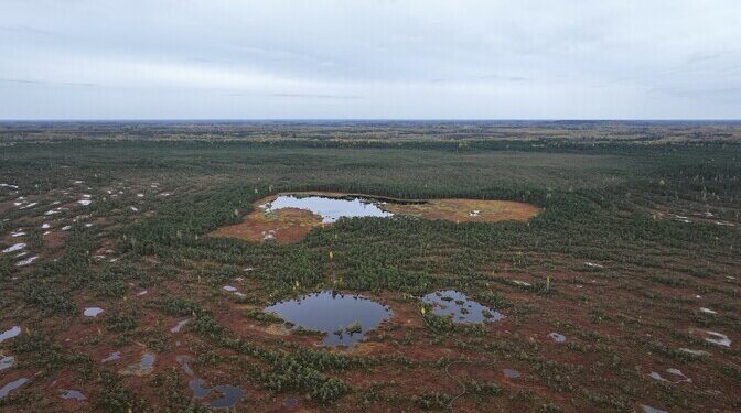 Estonia’s Alutaguse National Park to rival Lahemaa for size | News