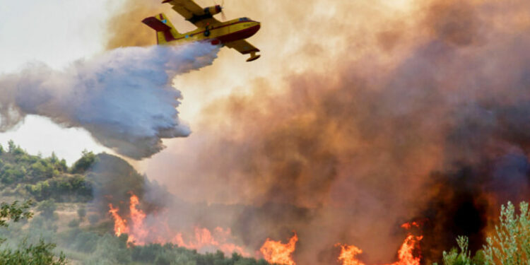 European Commission activates Civil Protection Mechanism to aid Greece and Albania amidst wildfires