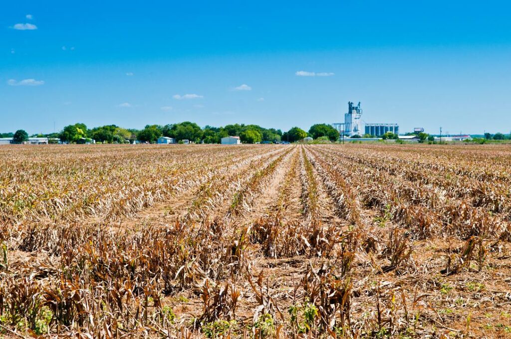 European Commission approves EUR 400 mln state aid to Romanian farmers