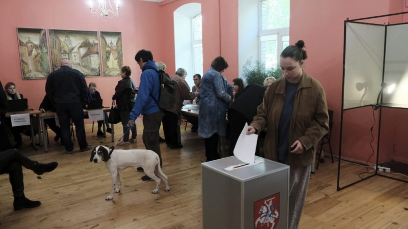 European elections in Lithuania largely depend on turnout – Euractiv