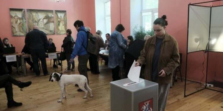 European elections in Lithuania largely depend on turnout – Euractiv