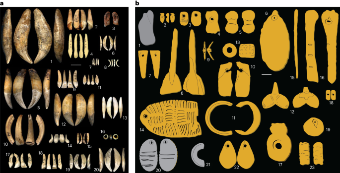 Evidence from personal ornaments suggest nine distinct cultural groups between 34,000 and 24,000 years ago in Europe