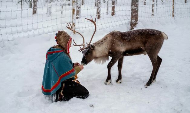 A person dressed in Sami traditional clothing and a reindeer