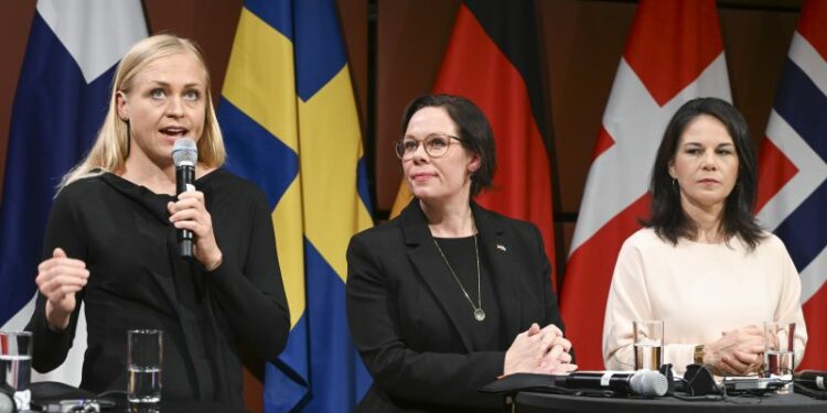 Finland urges Germany to lose reservations on Ukraine support ahead of talks – Euractiv