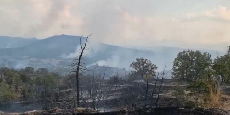 Firefighters continue to battle blazes in Portugal, North Macedonia and Bulgaria