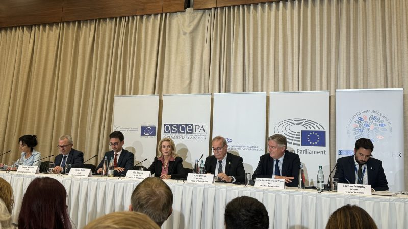 Georgia vote marred by ‘significant irregularties’, foreign election observers say - EURACTIV