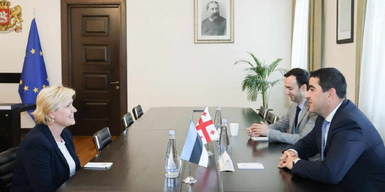 Georgian Parliament Speaker, Estonian Ambassador discuss partnership