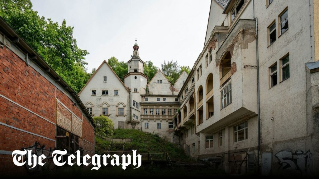 Germany’s AfD wants to turn ‘haunted’ Nazi castle into ‘patriotic centre’