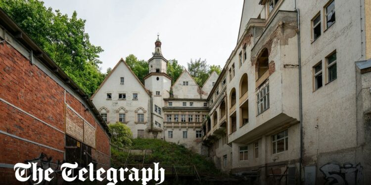 Germany’s AfD wants to turn ‘haunted’ Nazi castle into ‘patriotic centre’