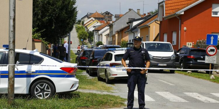 Gunman kills at least six people at nursing home in central Croatia