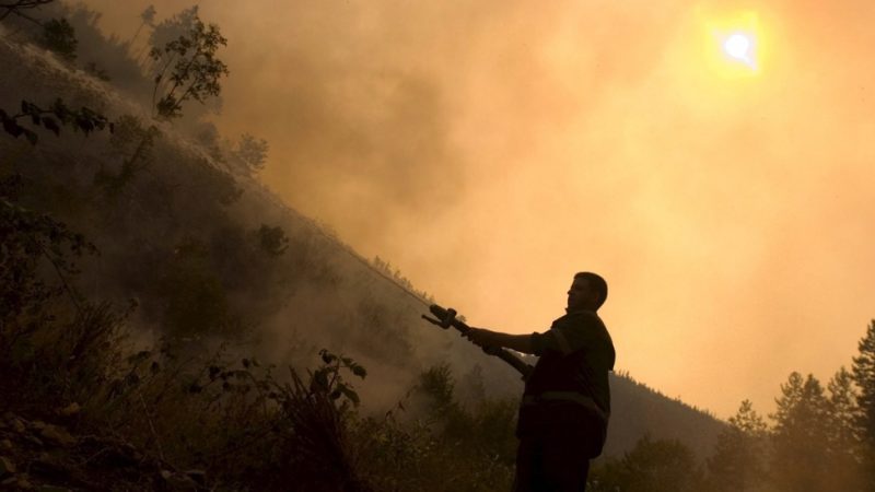 Heatwave-stricken Bulgaria banking on EU help to fight fires – Euractiv