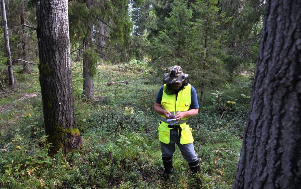 How Finnish Forest Industry Metsä Group Seeks Balance Between Business And Biodiversity