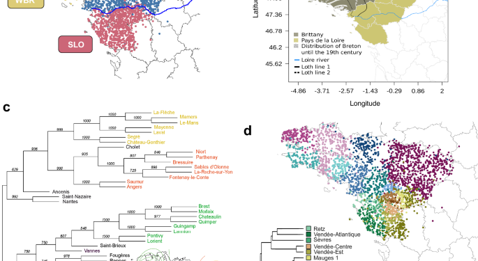 Human genetic structure in Northwest France provides new insights into West European historical demography