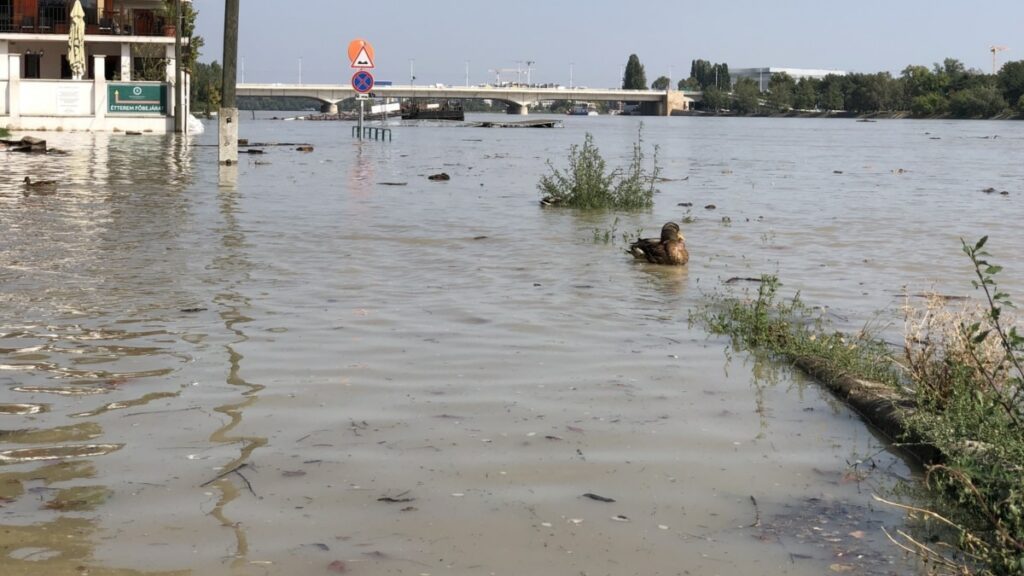 Hungary Braces For Potential Catastrophic Floods As Danube Rises - Radio Free Europe / Radio Liberty